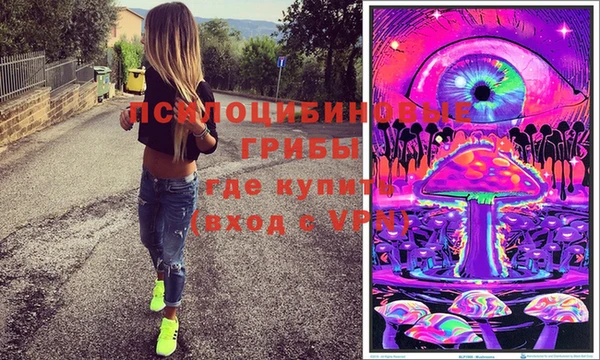мяу мяу мука Абаза