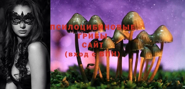 мяу мяу мука Абаза