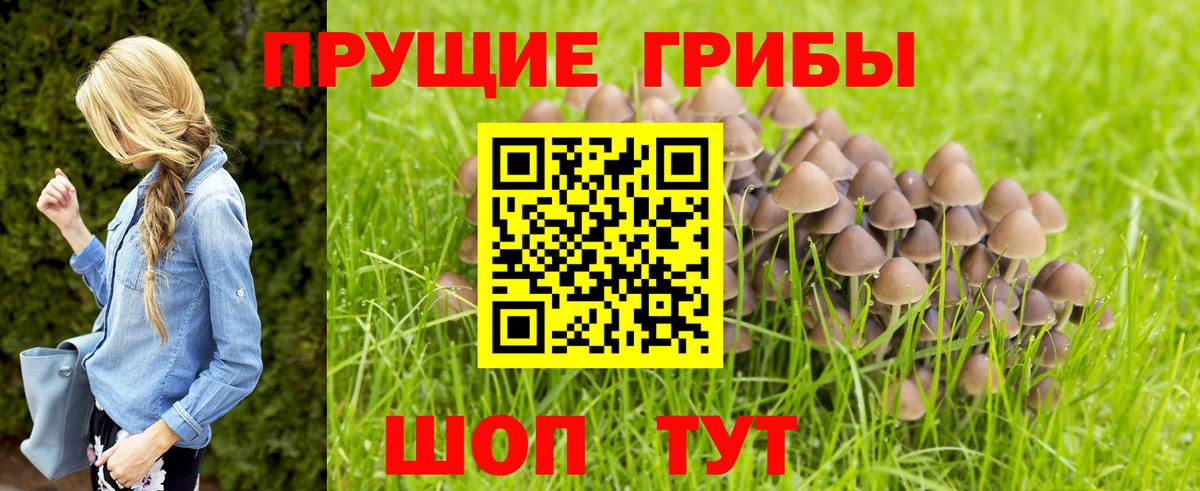 Галлюциногенные грибы MAGIC MUSHROOMS Абакан